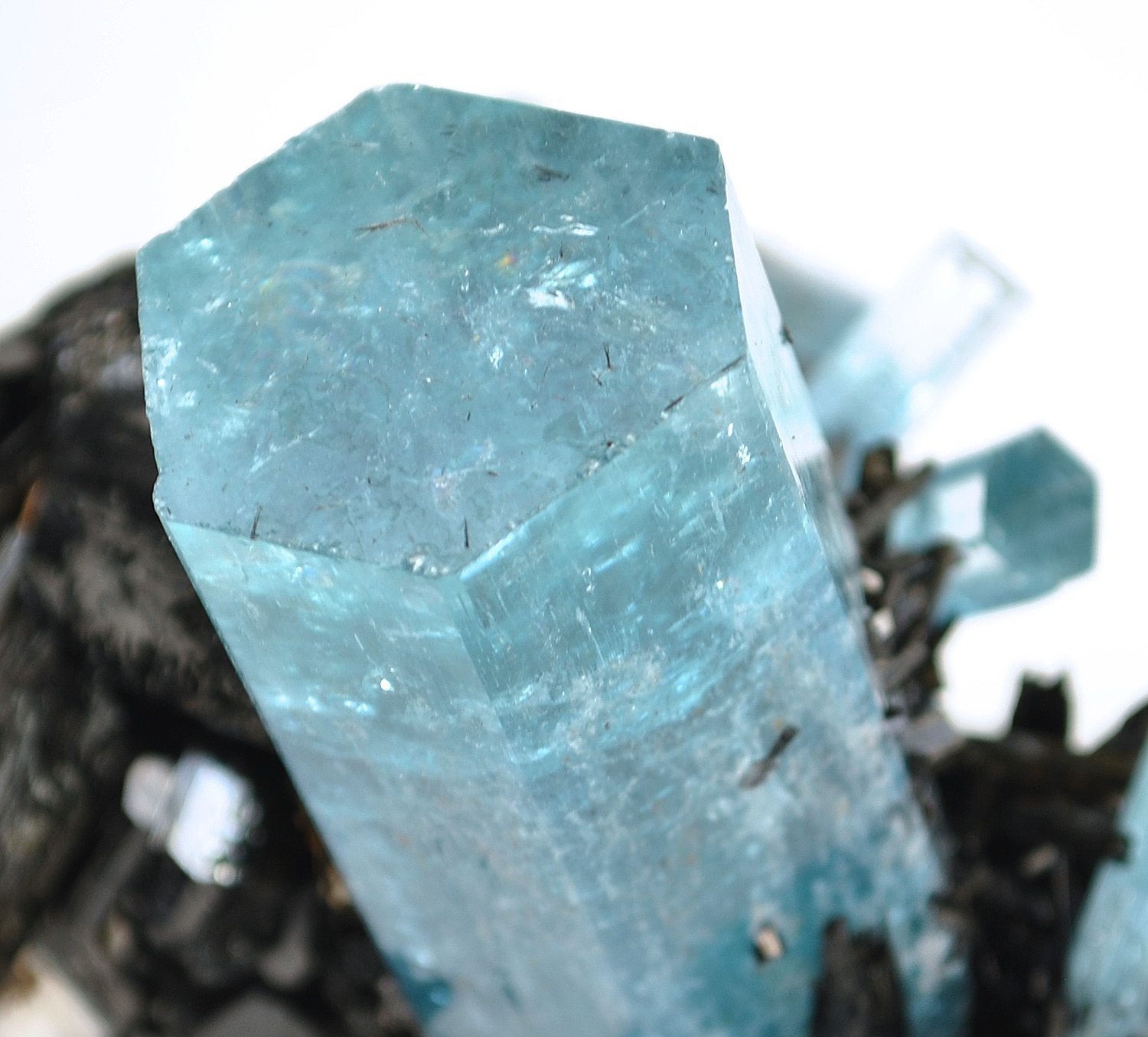 Aquamarine