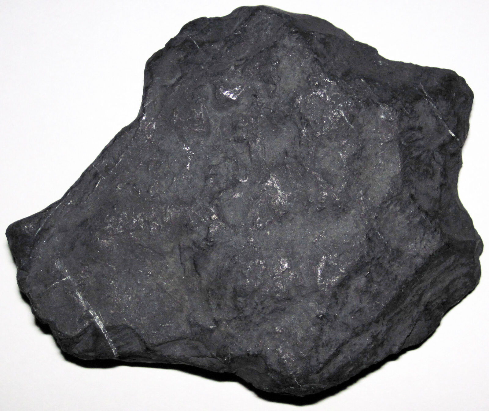 Shungite