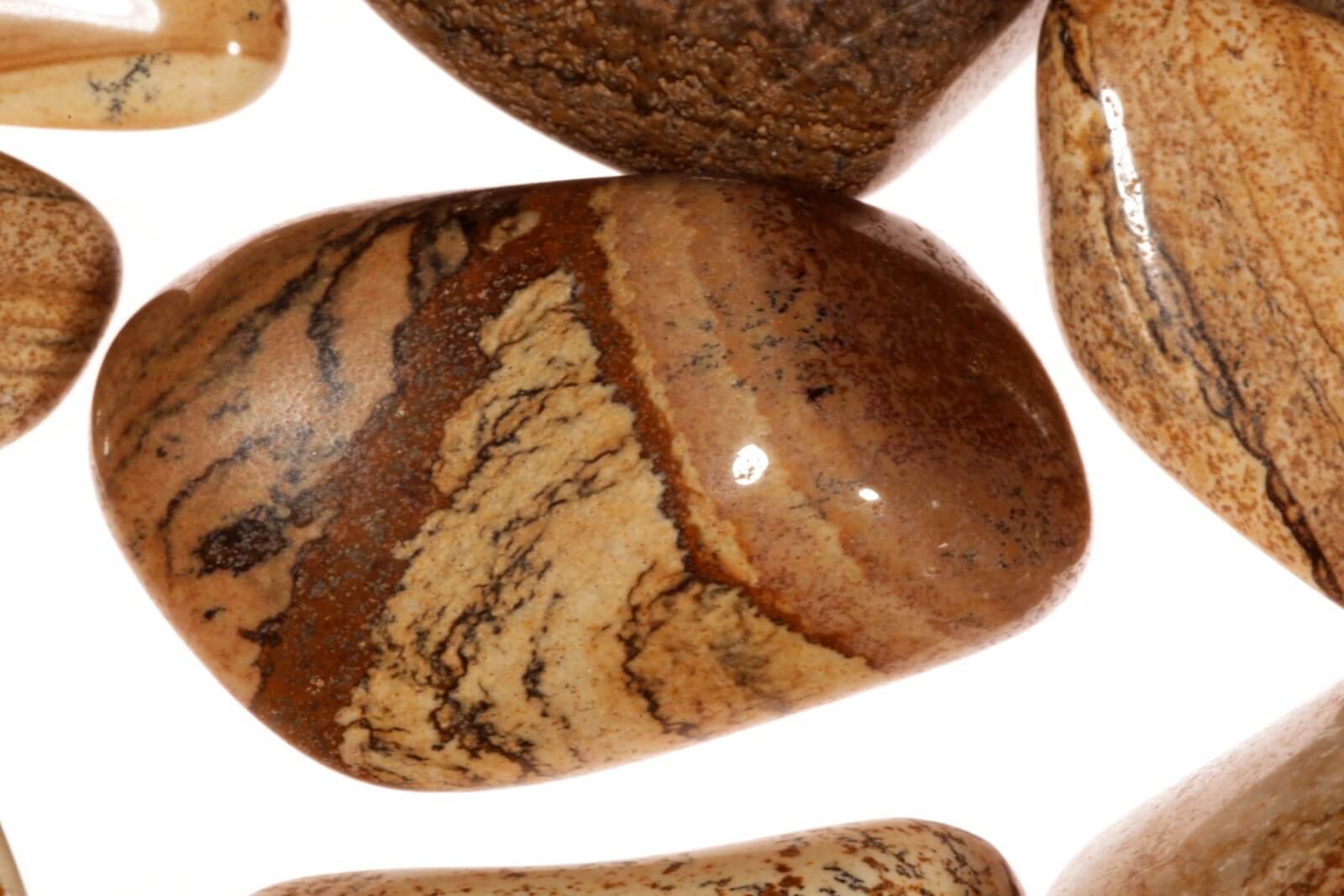 Picture Jasper