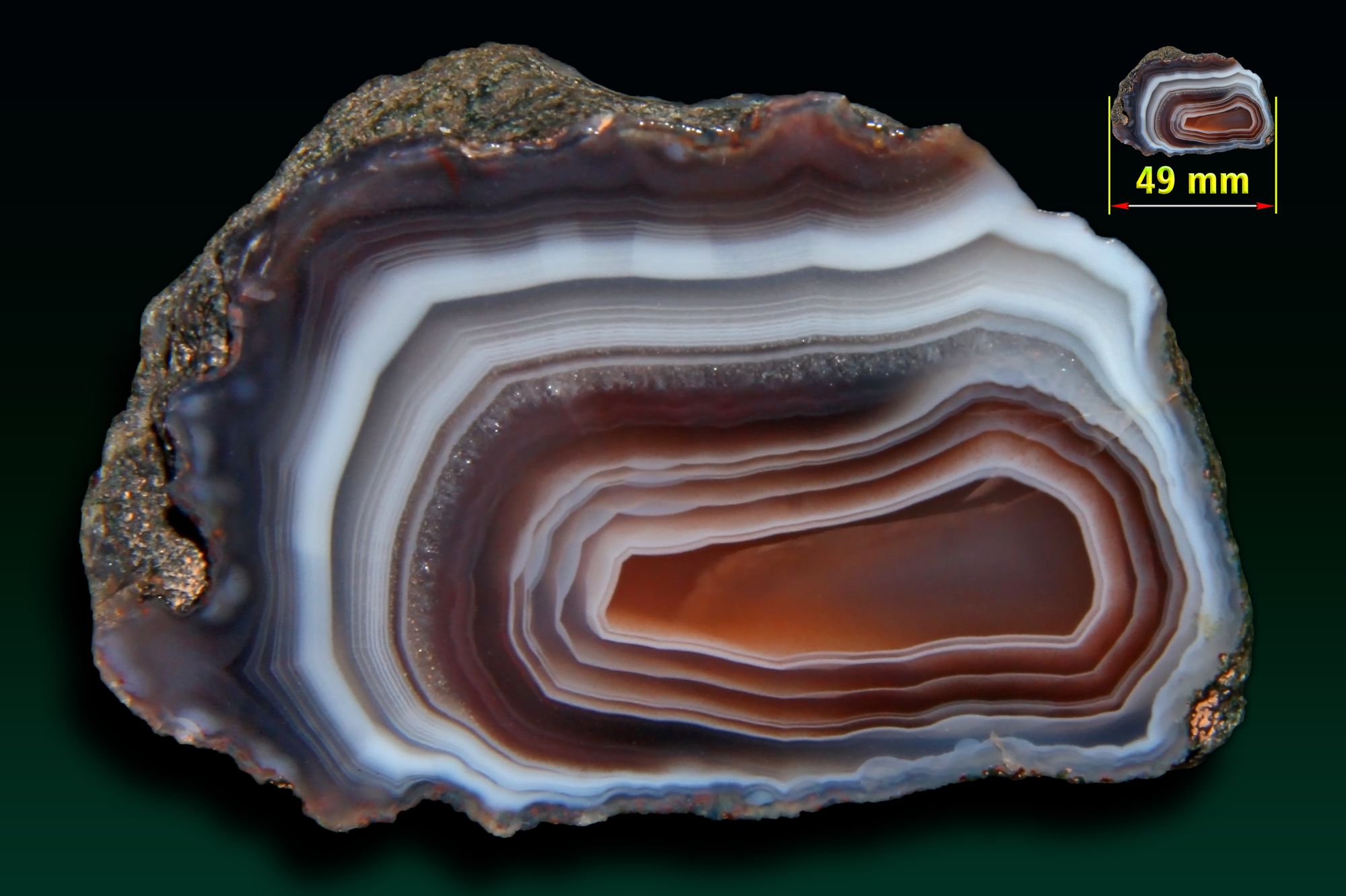 Botswana Agate